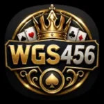 wgs456 game
