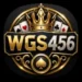 wgs456 game