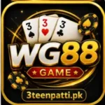 wg88 game download app